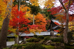 永源寺-2