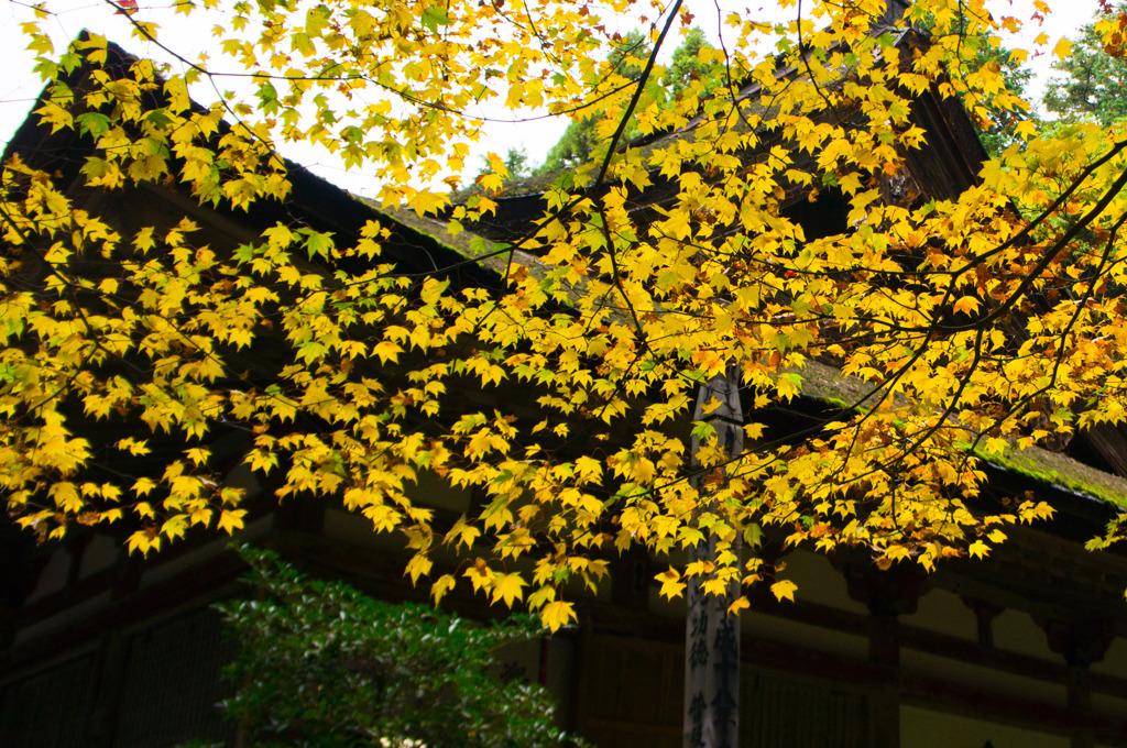 百済寺
