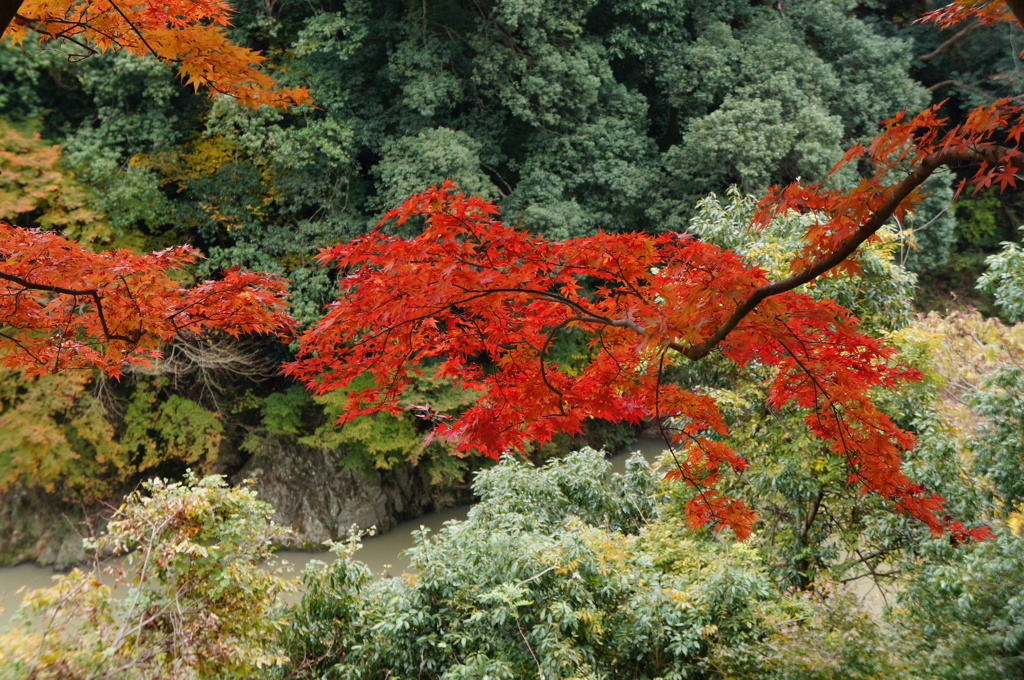 永源寺-4