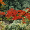 永源寺-4