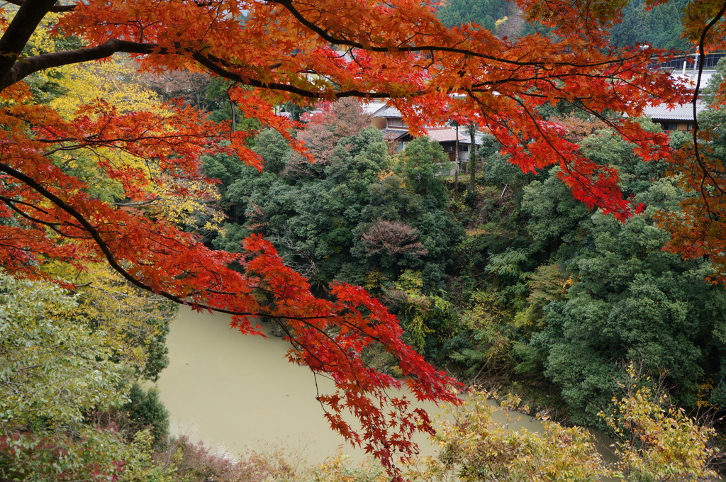永源寺-5