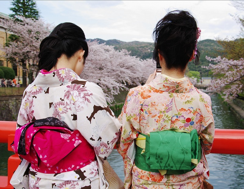 和服美人のお花見