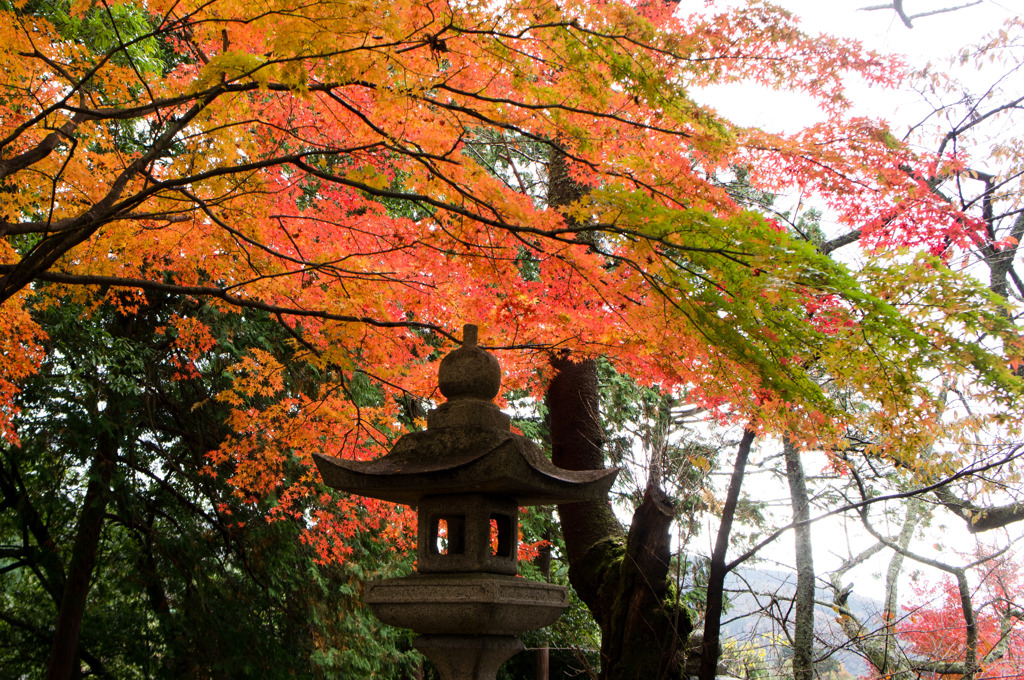 鶏足寺-4