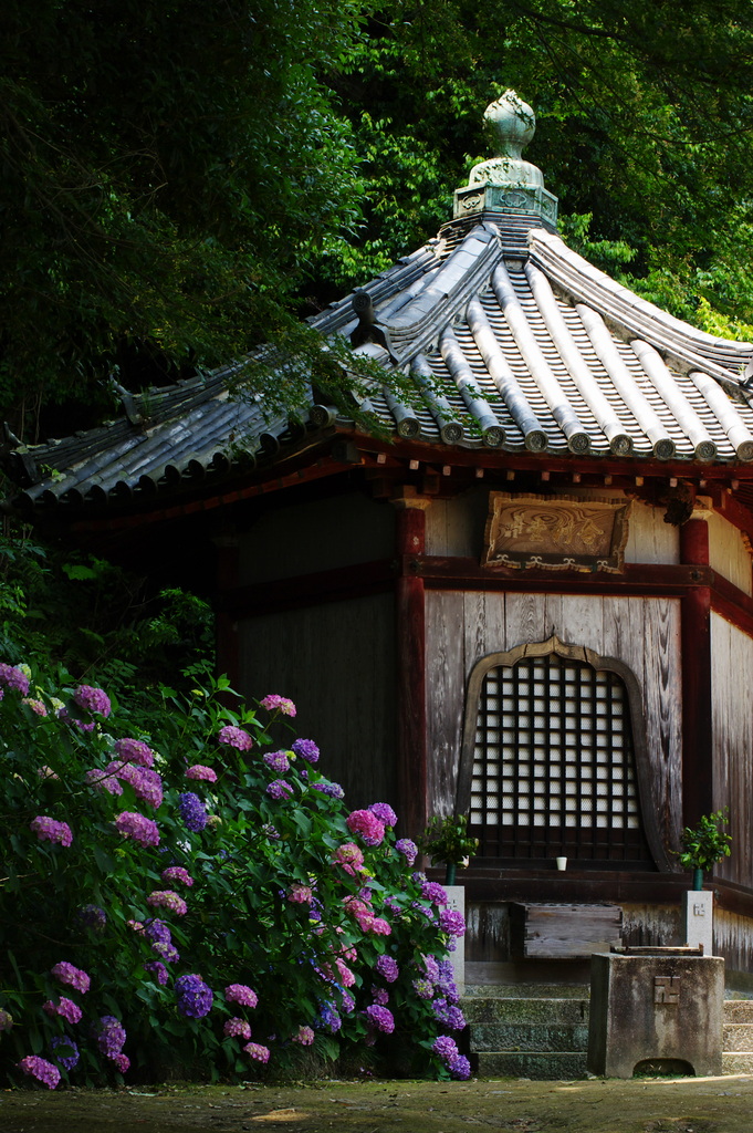 矢田寺-7A