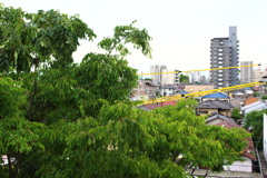 良いレンズ見つけた