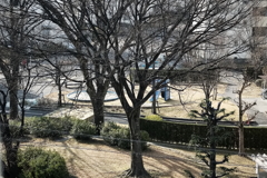 春はまだまだ