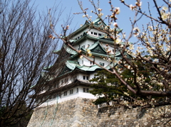 ３月の名古屋城