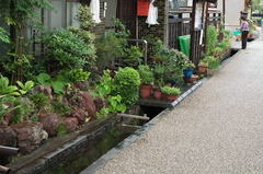 綺麗な水が流れる玄関先