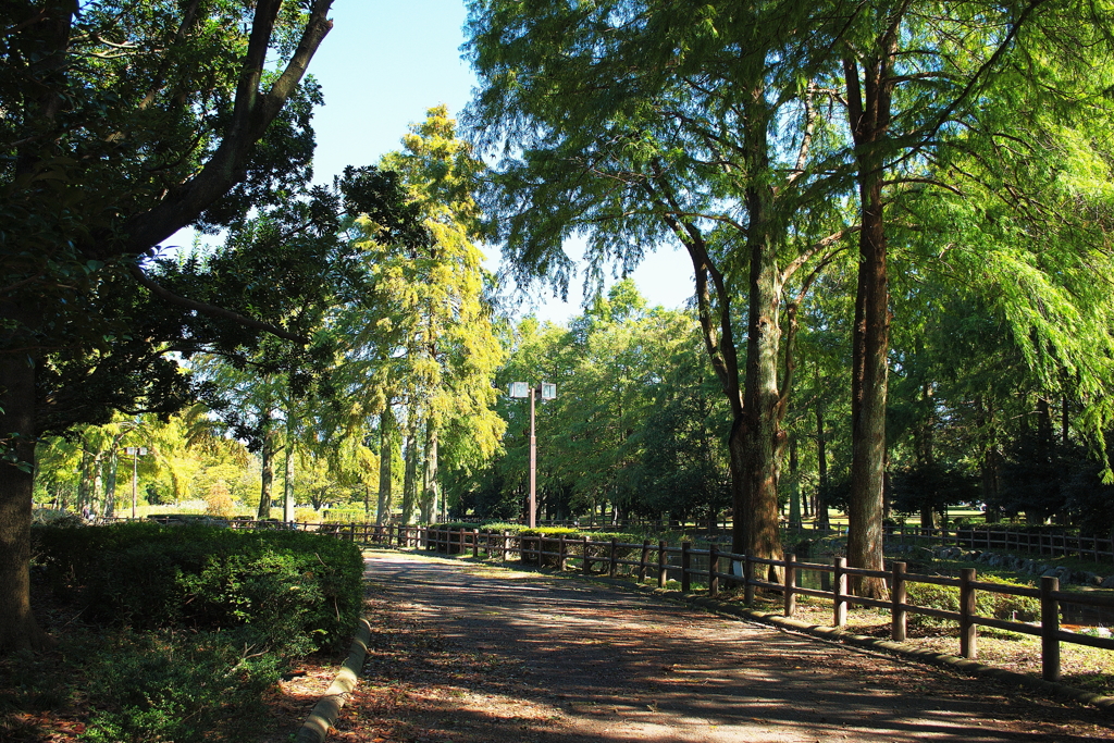 名古屋市庄内緑地公園(3)