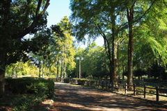 名古屋市庄内緑地公園(3)