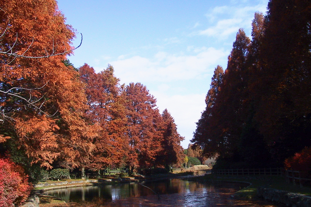 冬の公園風景