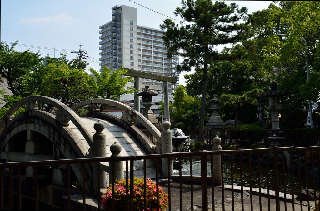 神社にて