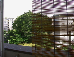 暑い暑い夏