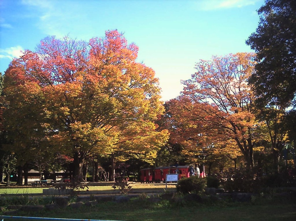 庄内緑地公園(1)