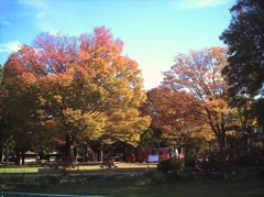 庄内緑地公園(1)
