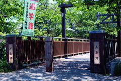 木造の橋