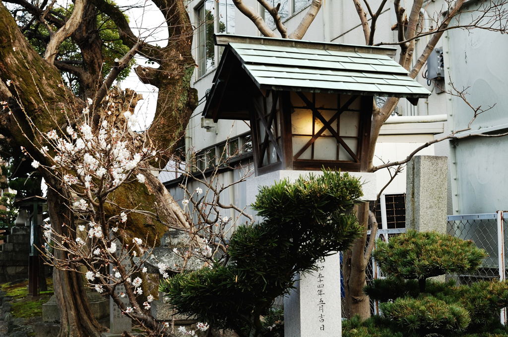 神社境内Ａ