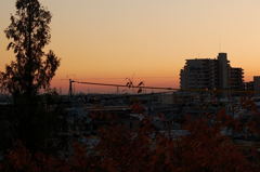 夕焼け小焼けで日が暮れて