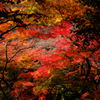 寂光院の紅葉(3)
