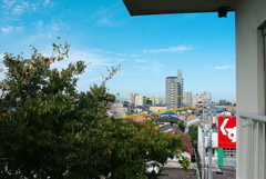 風景写真