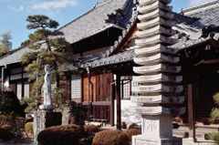 常満寺椿の常満寺本堂