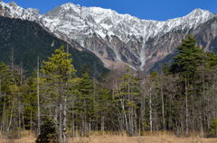 田代湿原から見た穂高連峰