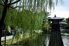 徳川園a