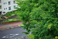 梅雨・雨の日