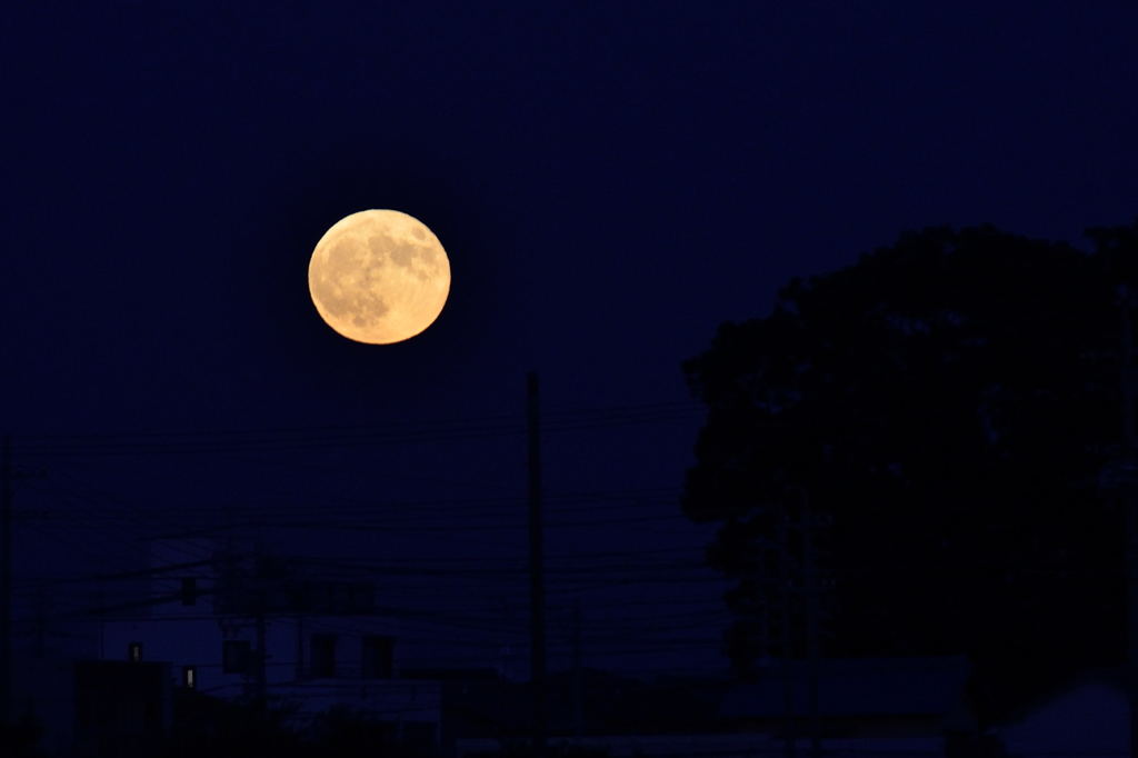 Super Moon(2015)