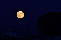 Super Moon(2015)
