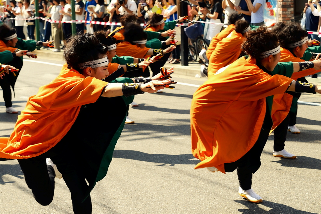 にっぽんど真ん中祭り(1)