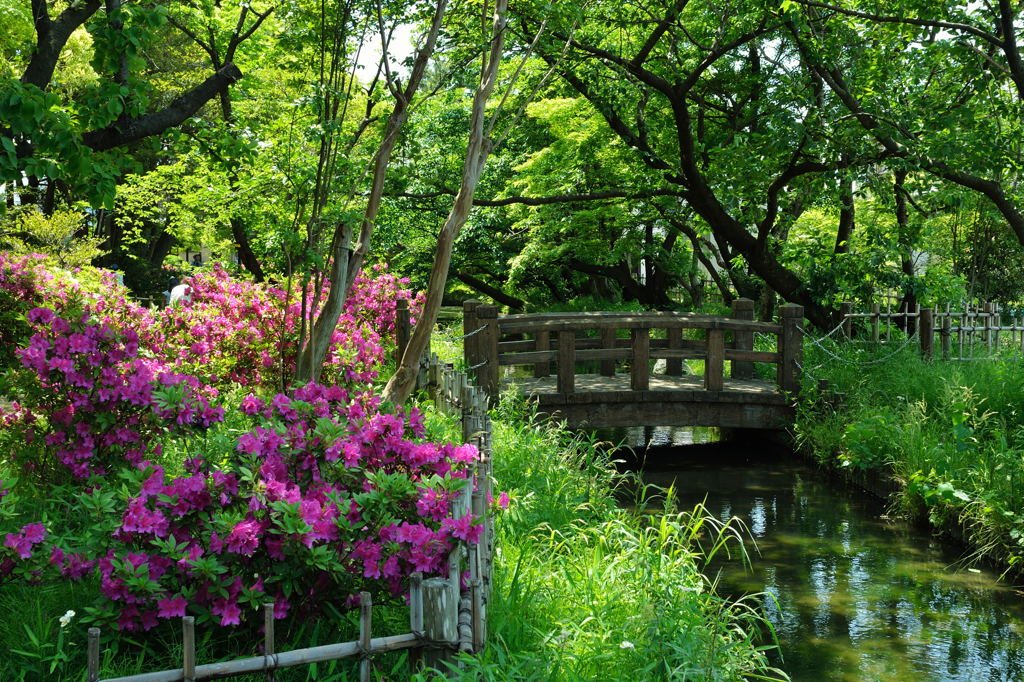 浅野長政屋敷跡(浅野公園)