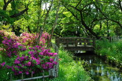 浅野長政屋敷跡(浅野公園)