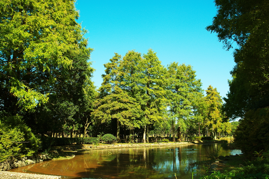 名古屋市庄内緑地公園(1)