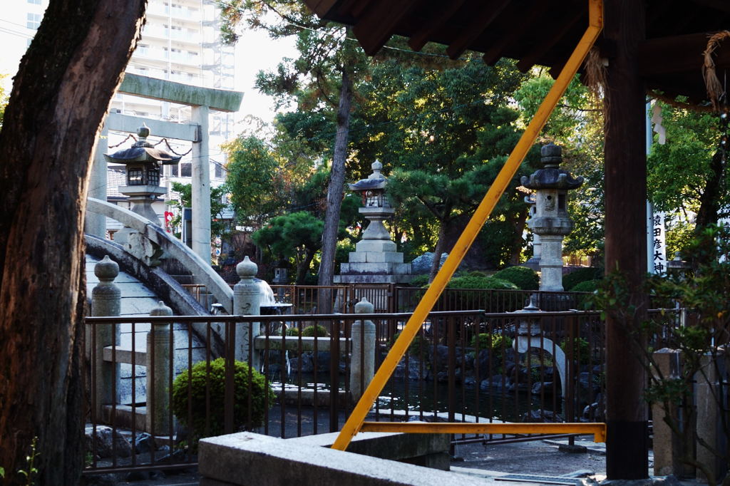地元の神社風景
