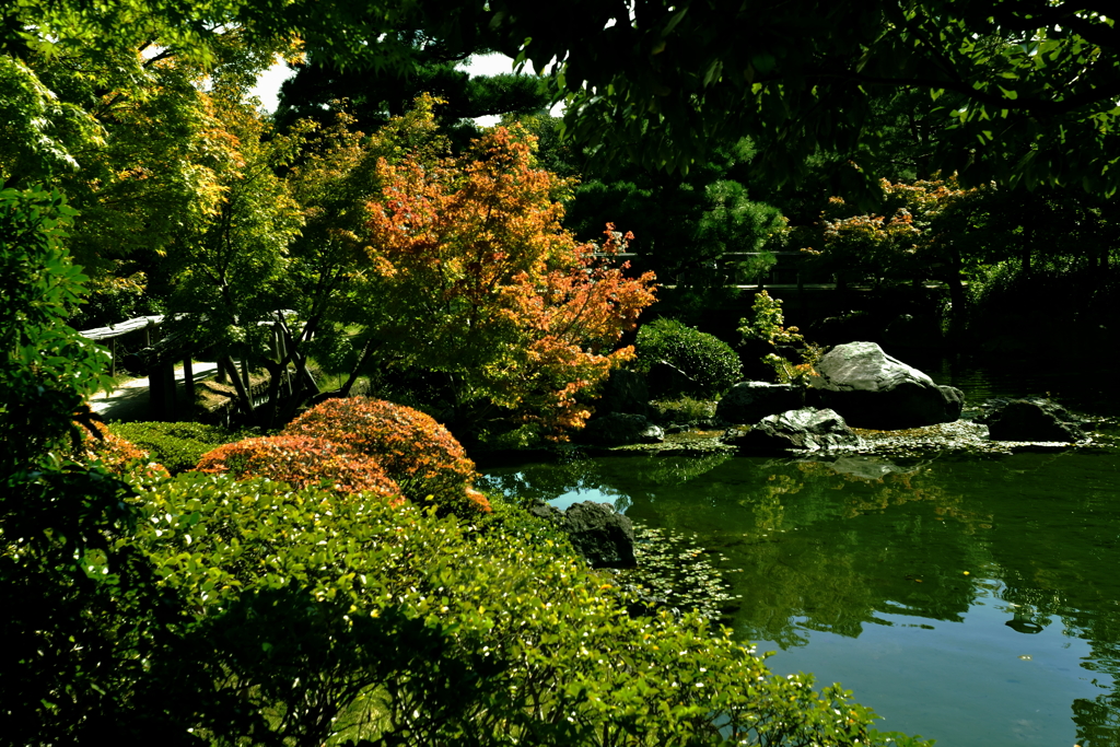 白鳥庭園ｂ