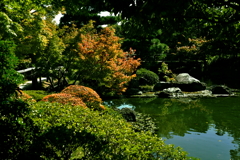 白鳥庭園ｂ