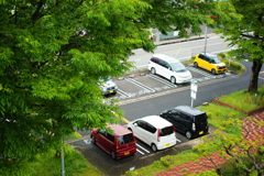 新緑の美しい５月