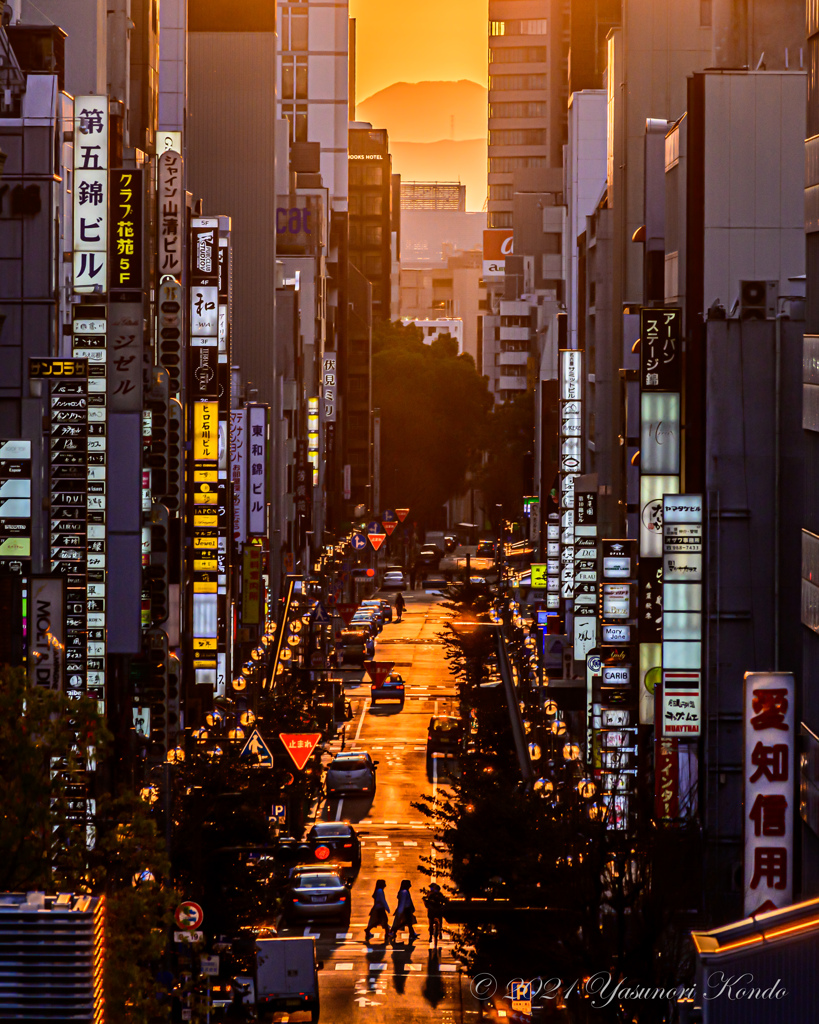 夕映え三丁目　夜の街はいつ戻る…