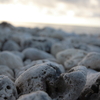 Beach Stone