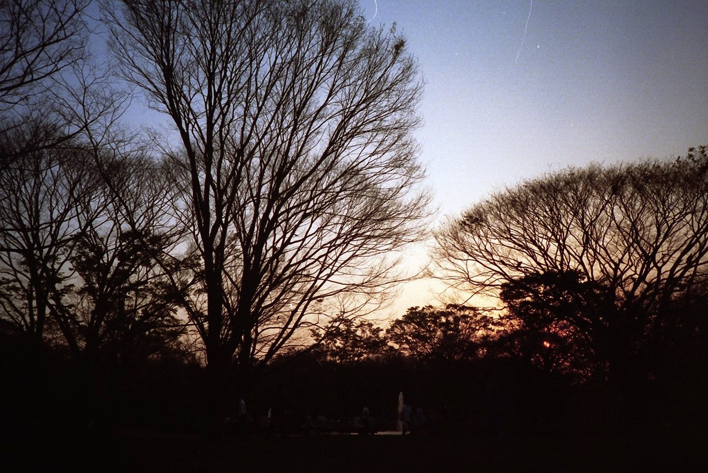 LOMO / 代々木公園