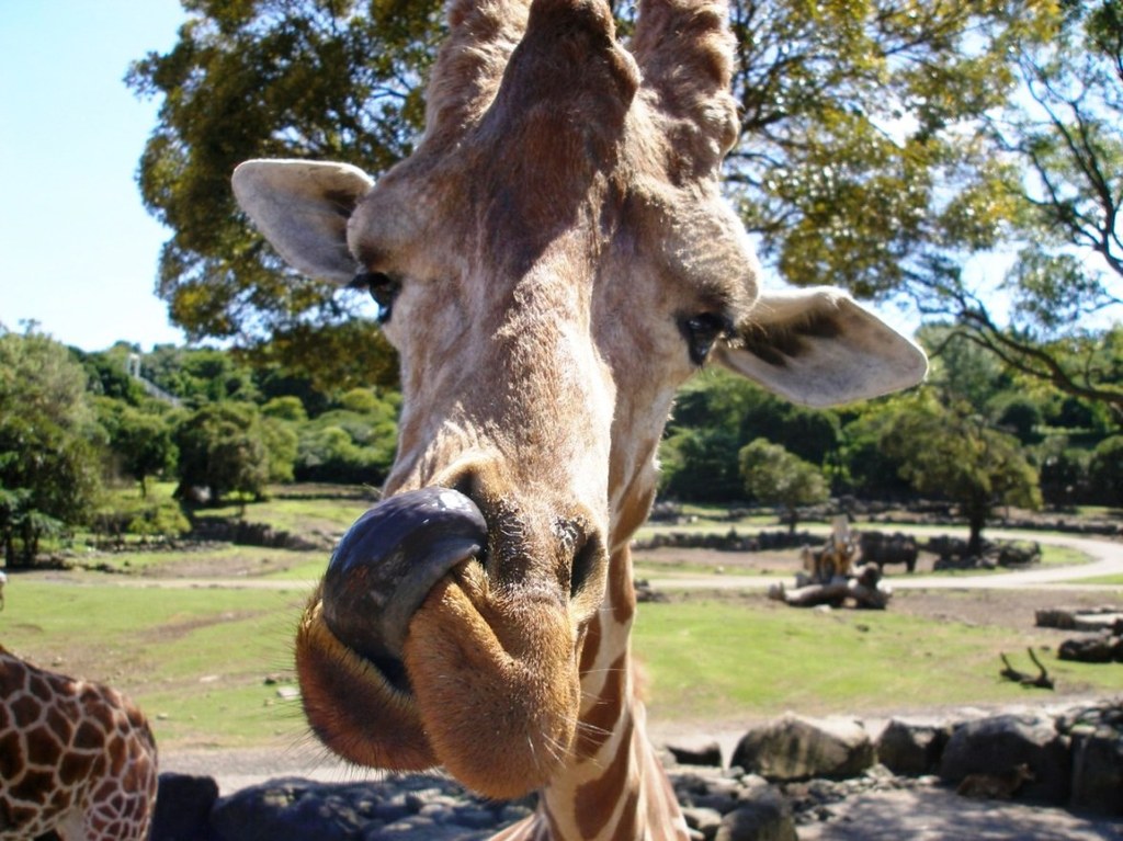 そんな顔しちゃダメぇー＞＜