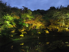 高台寺のライトアップ