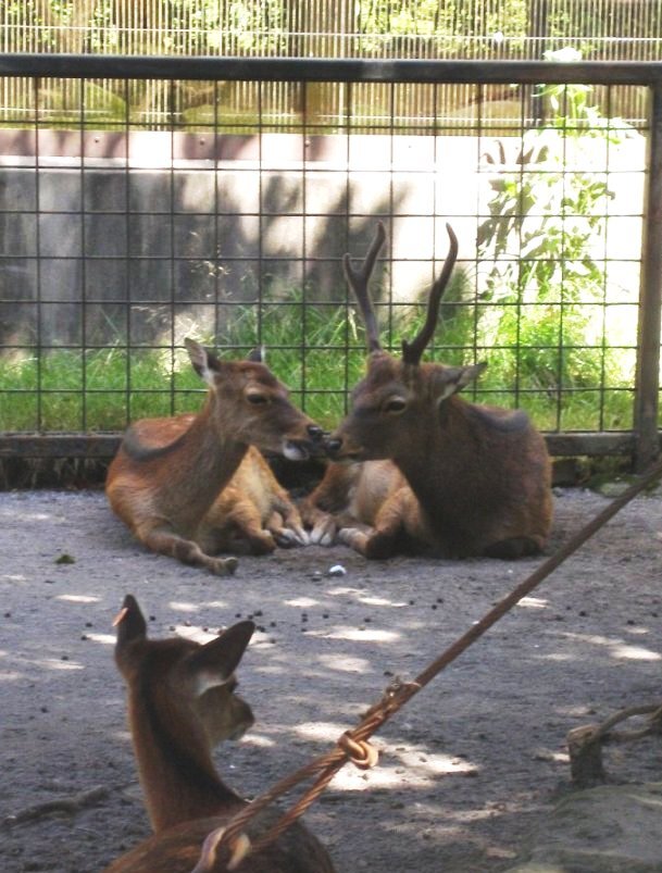 ラブラブなふたり？