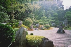 LOMO / 東福寺の庭園