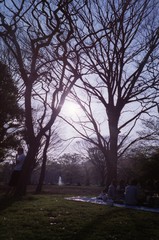 LOMO / 代々木公園