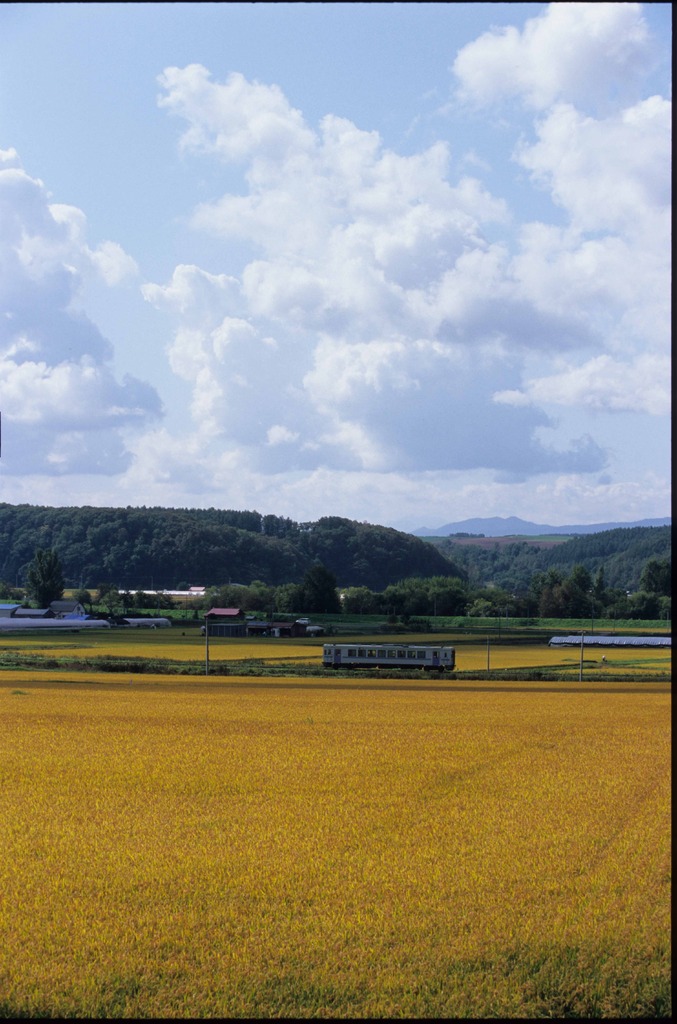 秋の富良野線