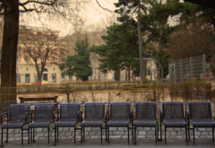 Vienna chairs