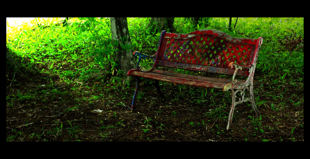 Bench 