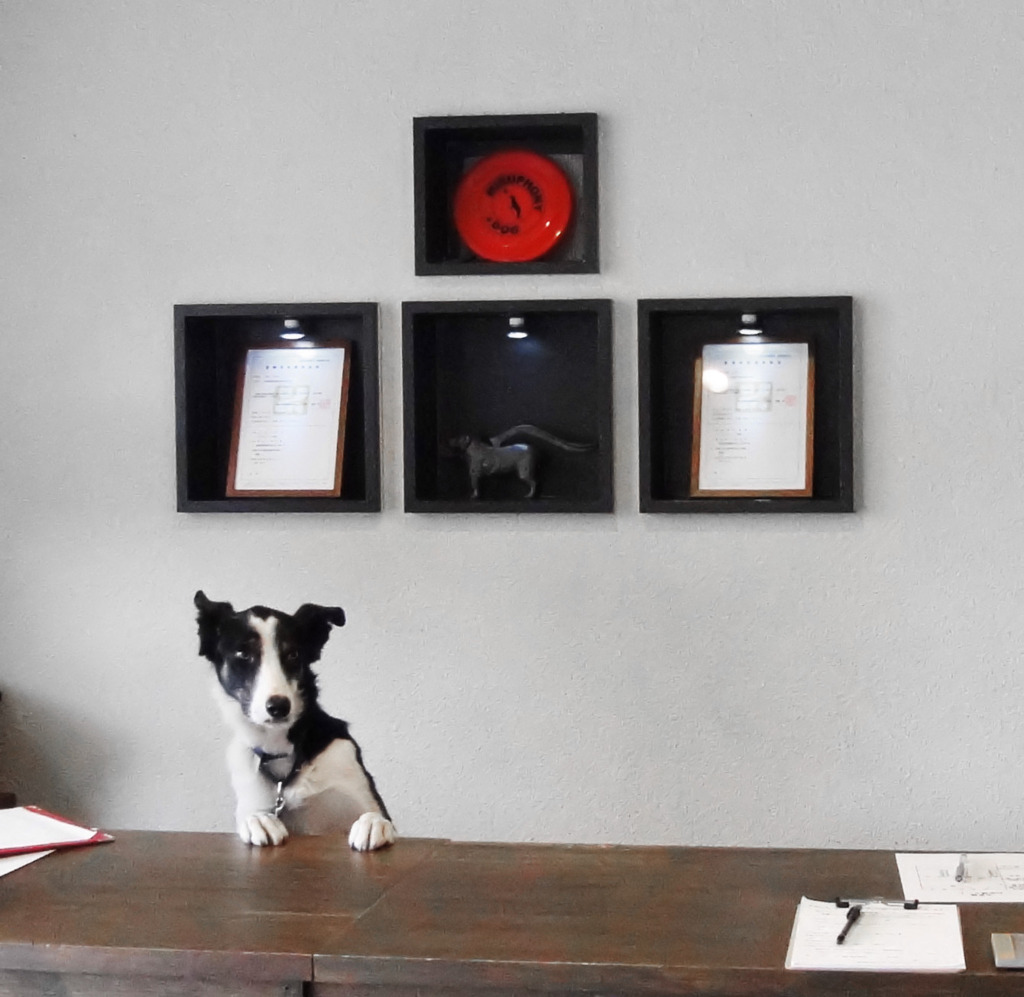 Hotel Clerk